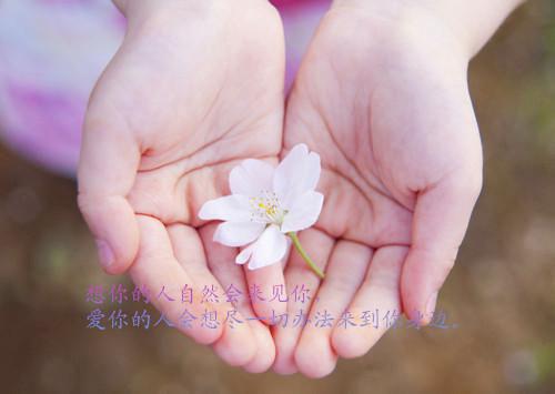 有关写给父母的感谢信3篇