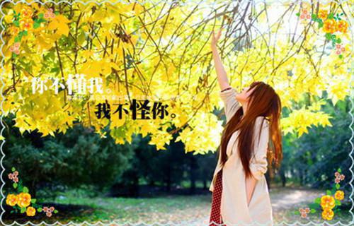 陈冥淮齐安梅完结篇全篇阅读无广告（齐安梅陈冥淮）番外+续集