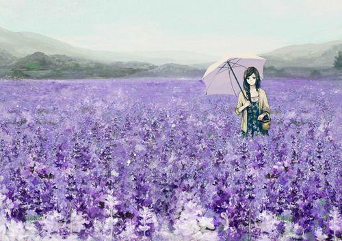 护士的自荐信怎么写