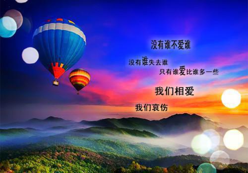 人大代表述职评议总结精选