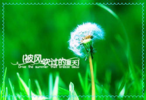关于缴费委托书范文五篇