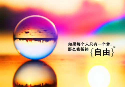 小学的道歉信