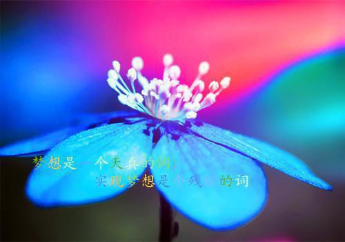 伤感难过的个性签名 街角一个熟悉的背影