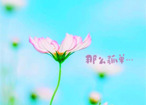如果你在乎我
