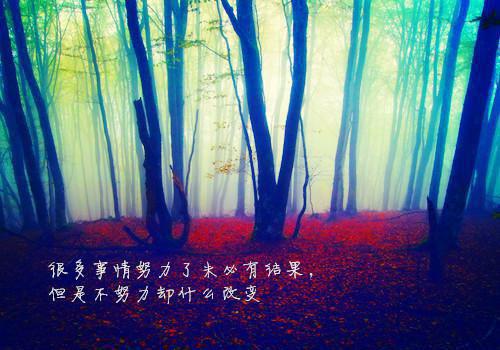 李自成要取则取天下的故事500字