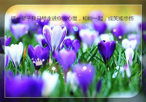 他乡逢七夕，旅馆益羁愁。