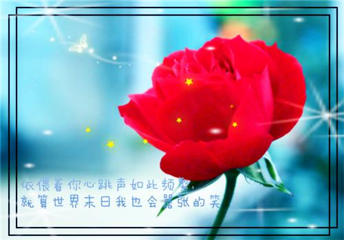 建筑设计的应届生求职信
