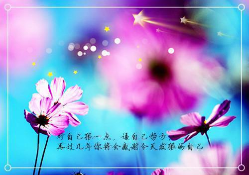 公文报告范文