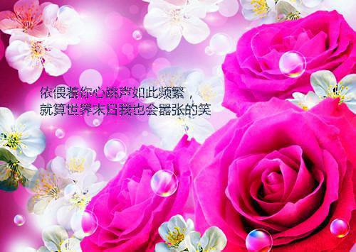 唯美英文爱情名言短句