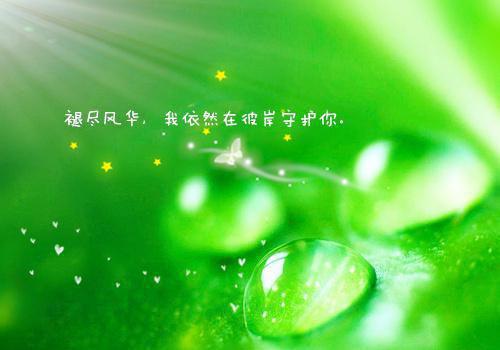 申请硕士学位推荐信