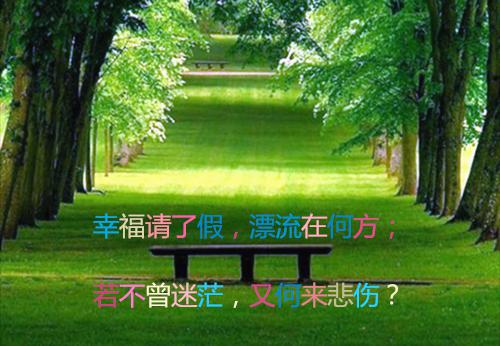 公司统计自查报告范文
