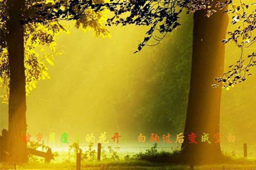 2023党风廉政建设自查报告【精选3篇】