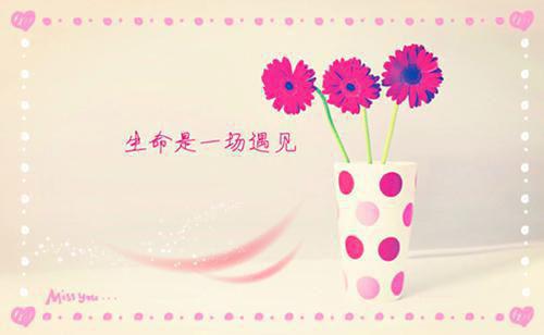 最新爱情语句人生感悟简短