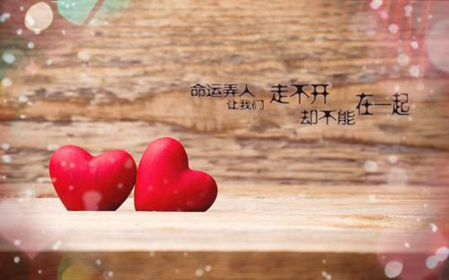 市科协七届委员会工作报告