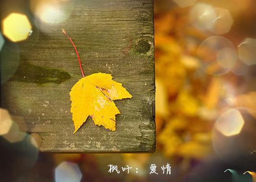 零售药店自查报告5篇
