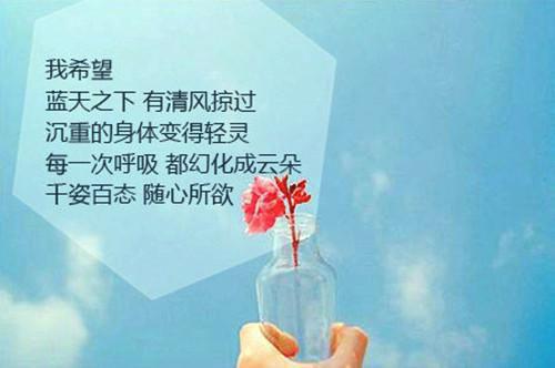 2023年7月大学生网站编辑社会实践报告
