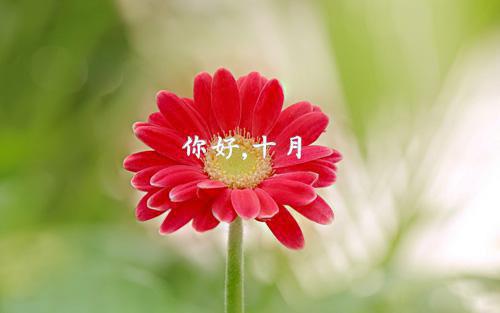 信息处理员英文求职信范文