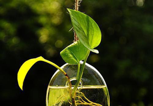 致学校爱心捐款感谢信范文