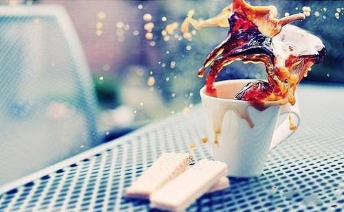 多媒体编辑专业毕业生自荐信范文