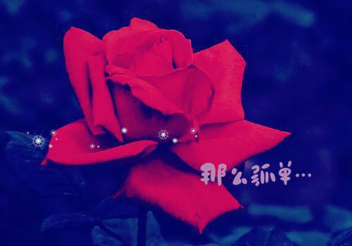 母亲节诗歌——《歌颂母亲的诗歌三首》