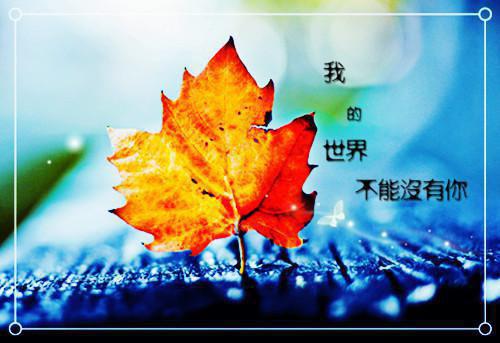 写一封感谢信300字