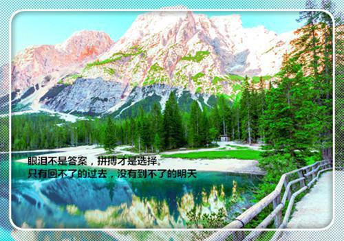 2023年政务公开自查报告