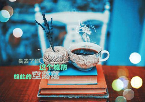 授权委托书英文模板