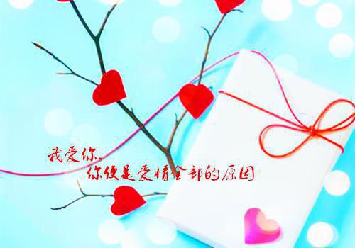 传媒公司实习证明