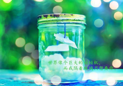 关于厨师求职信范文集锦七篇