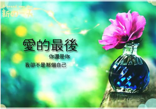 大学毕业生写给母校的感谢信