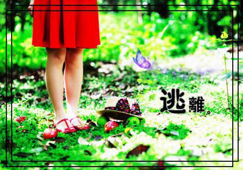 投标服务承诺书精选范文