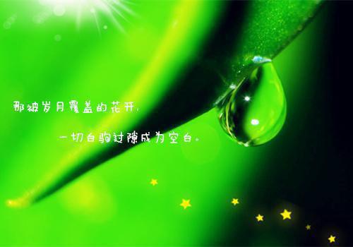 教师节诗歌——《老师像……》