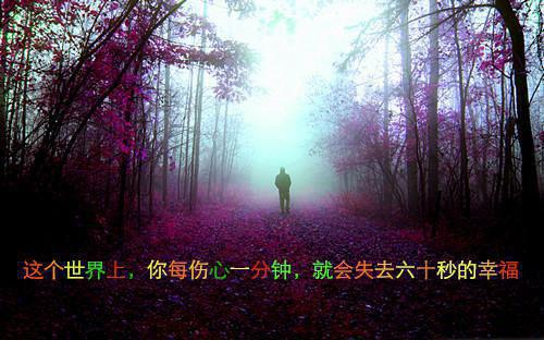 应届毕业生计算机专业个人自荐信