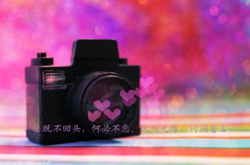 英语专业大学生自荐信范文