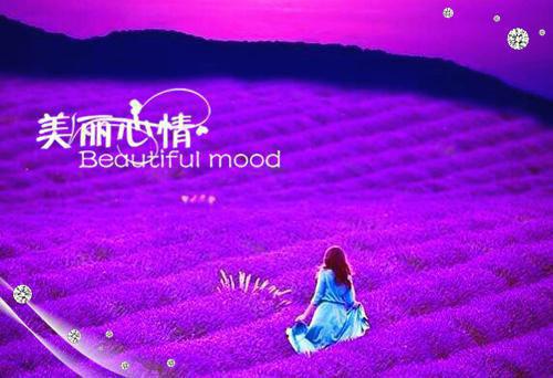 青少年个案工作报告