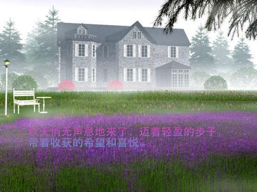 2023发展壮大村级集体经济工作报告