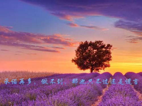 师范生毕业生自荐信