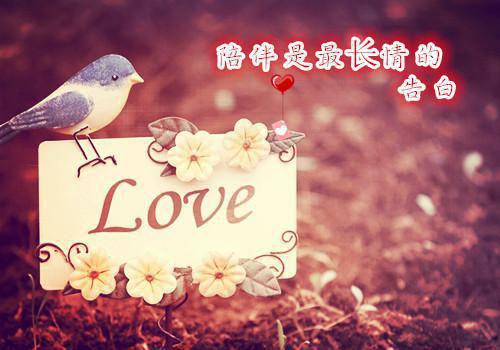 送给爸爸的生日祝福语2023