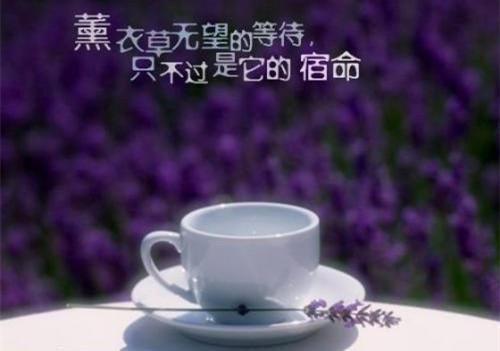 有关于幼儿园的感谢信格式