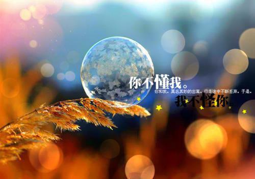 关于人生感悟的哲理