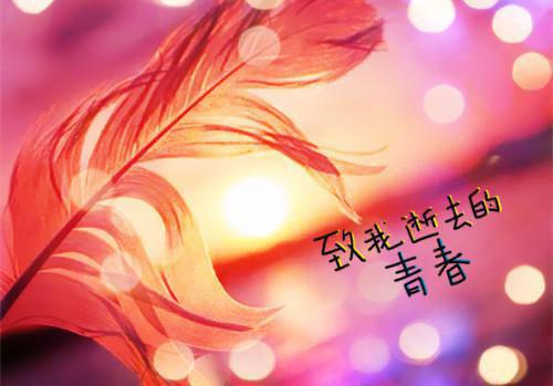 忠诚教育个人剖析材料（警察）