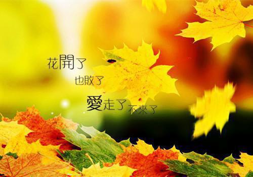 会议室租赁合同