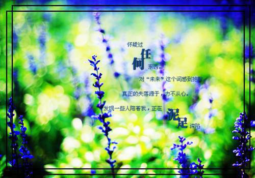 珠宝专业毕业生求职信范文