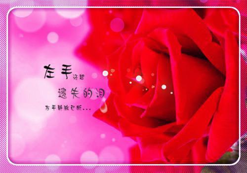 幼儿园感谢信锦集六篇