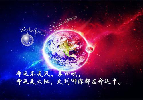2023年工程公司社会实践报告范文