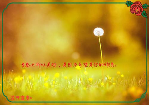 林业重点应急预案执行情况自检自查报告