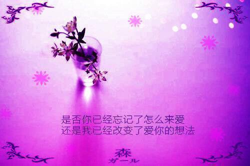人力资源专员自荐信