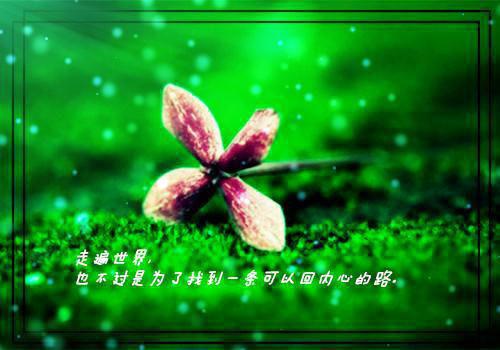 有关真爱的名言