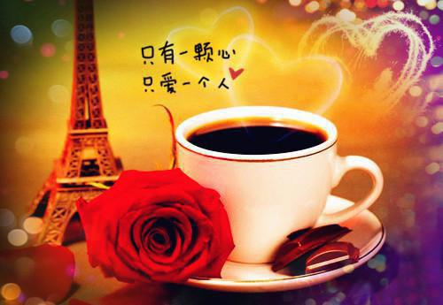 【精选】教师求职信范文合集八篇
