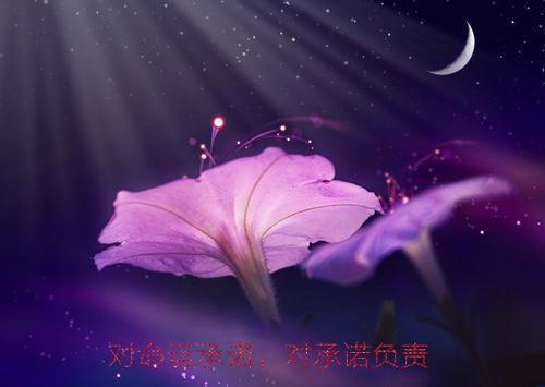 2023银行行长述职报告